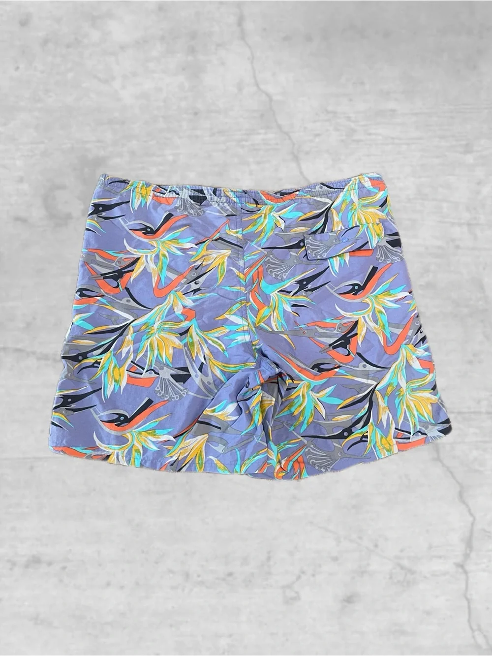 Patagonia men shorts